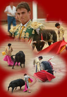 Volver al Inicio